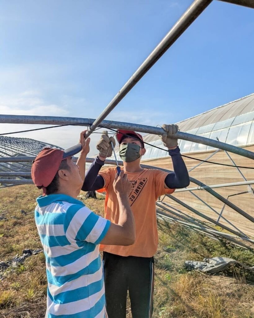 尊嚴農業團隊下田去！