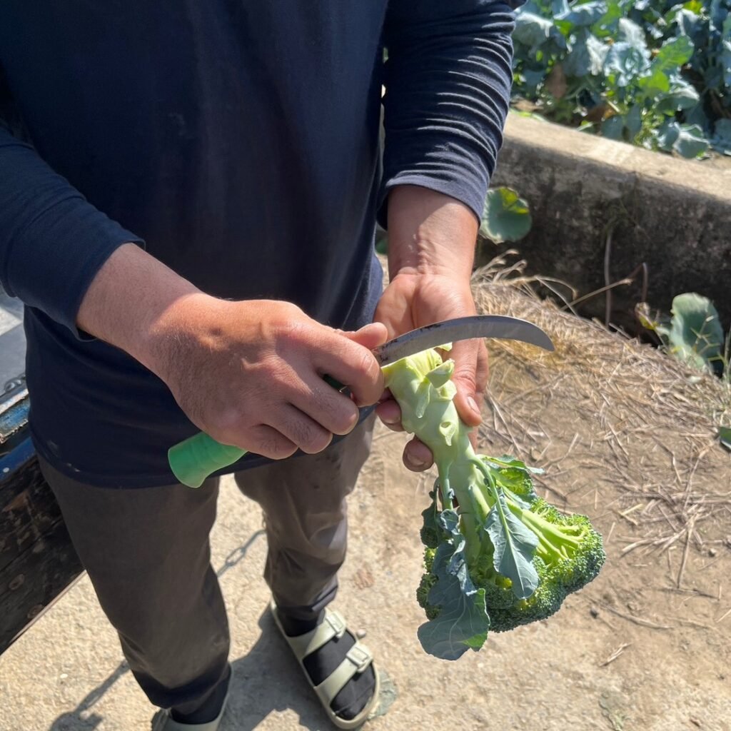 604844592 122150925518947721 6554817301567019551 n