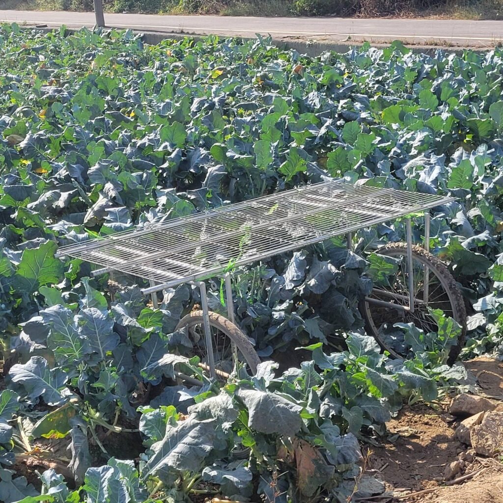 605140912 122150925770947721 2408008399587826166 n