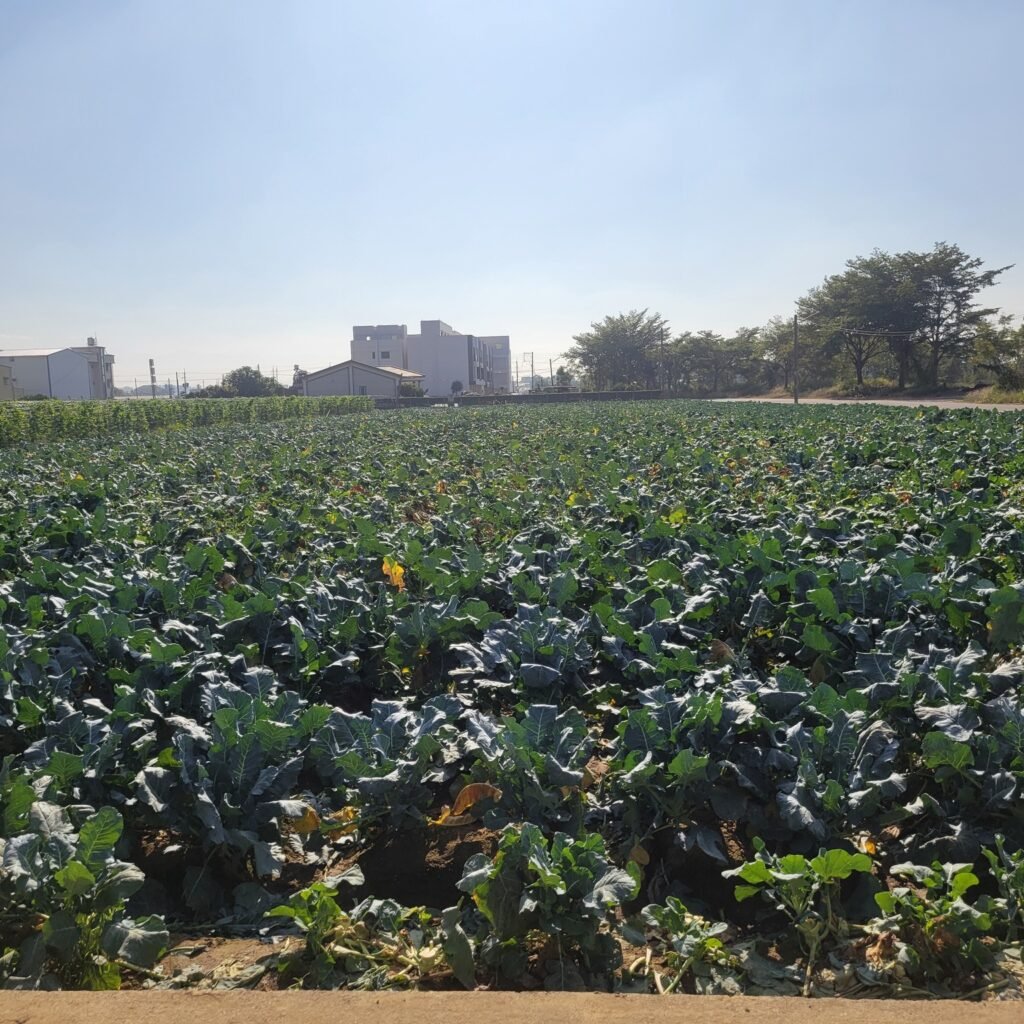 605661831 122150925740947721 5528415152210383970 n